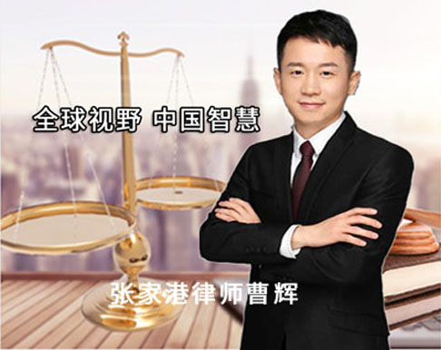 张家港经济合同律师