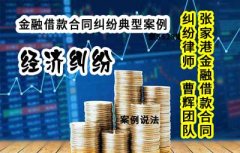 金融借款合同纠纷典型案例